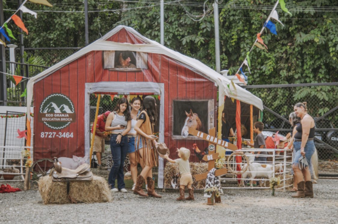 Students learning at an educational farm with animals and hands-on activities