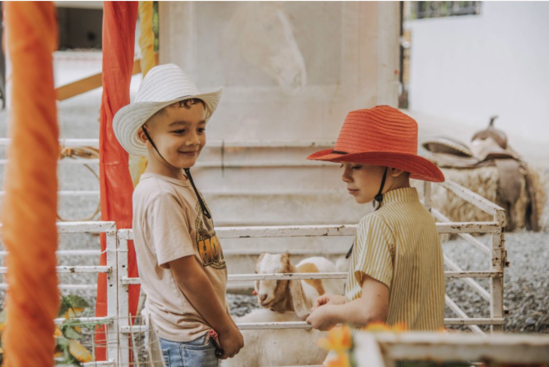 Two young children in cowboy hats interact near farm animals