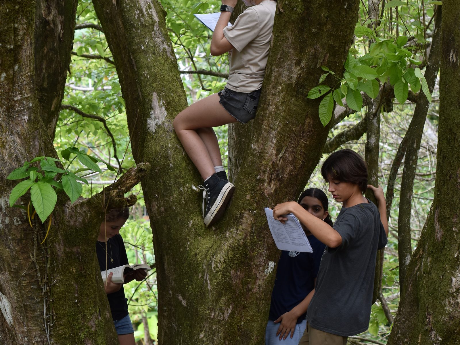 Students observe and document wildlife in trees during forest expedition